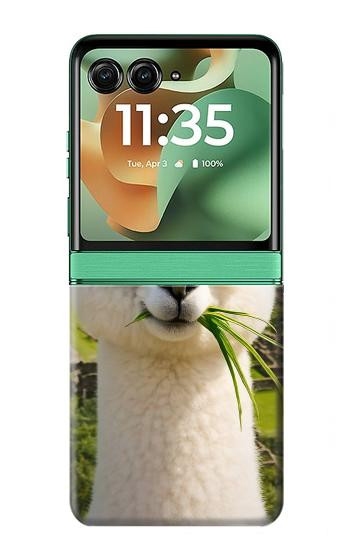S4069 Lunettes de soleil alpaga Etui Coque Housse pour Motorola Razr 70+,60+, Razr+ (2026, 2025, 2024)