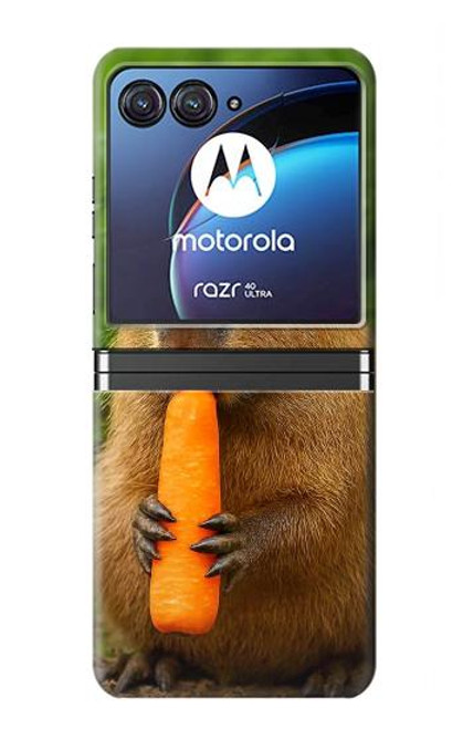 S4068 Papillon capybara Etui Coque Housse pour Motorola Razr 40 Ultra