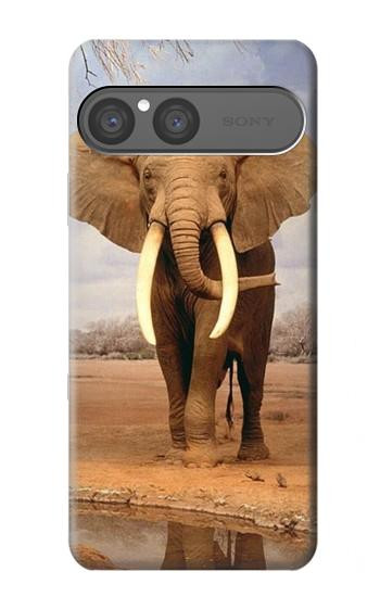 S0310 éléphant d'Afrique Etui Coque Housse pour Sony Xperia 10 VII, 10 VIII