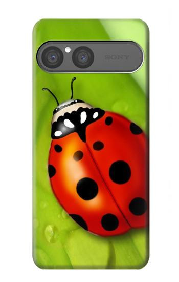S0892 Coccinelle Etui Coque Housse pour Sony Xperia 10 VII, 10 VIII