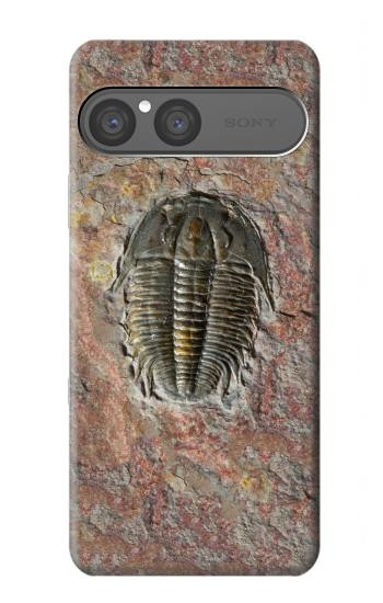 S1454 trilobite Fossile Etui Coque Housse pour Sony Xperia 10 VII