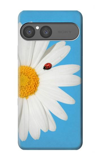 S3043 Coccinelle Daisy millésimé Etui Coque Housse pour Sony Xperia 10 VII