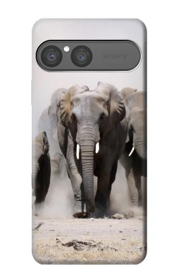 S3142 éléphant d'Afrique Etui Coque Housse pour Sony Xperia 10 VII