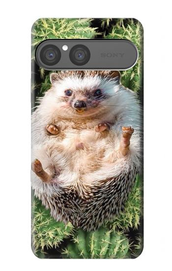 S3863 Peinture hérisson nain hérisson nain Etui Coque Housse pour Sony Xperia 10 VII