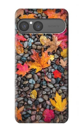 S3889 feuille d'érable Etui Coque Housse pour Sony Xperia 10 VII