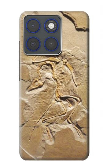 S0380 Fossile de dinosaure Etui Coque Housse pour Motorola Edge 70