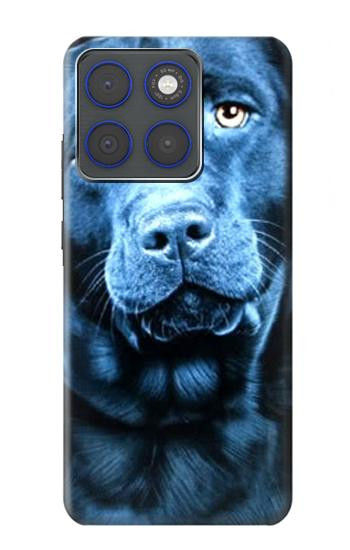 S0750 Labrador Retriever Etui Coque Housse pour Motorola Edge 70