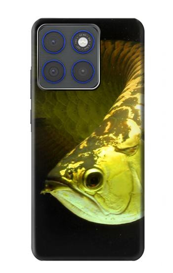 S1021 Or Arowana poissons Etui Coque Housse pour Motorola Edge 70