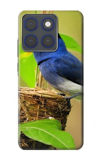 S3839 Oiseau bleu du bonheur Oiseau bleu Etui Coque Housse pour Motorola Edge 70