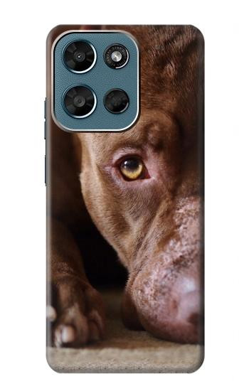 S0519 PitBull Visage Etui Coque Housse pour Motorola Moto G (2026), G Play (2026)