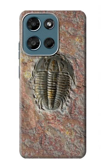 S1454 trilobite Fossile Etui Coque Housse pour Motorola Moto G (2026), G Play (2026)