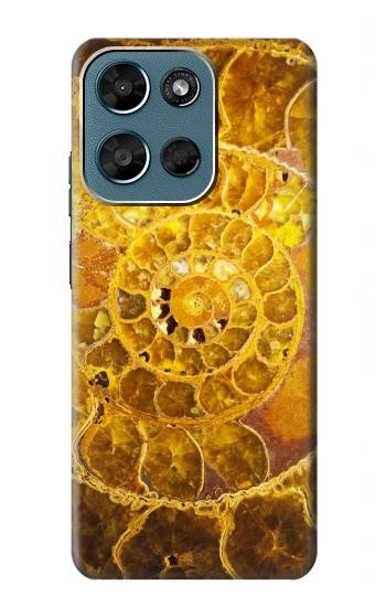 S1789 ammonite Fossiles Etui Coque Housse pour Motorola Moto G (2026), G Play (2026)