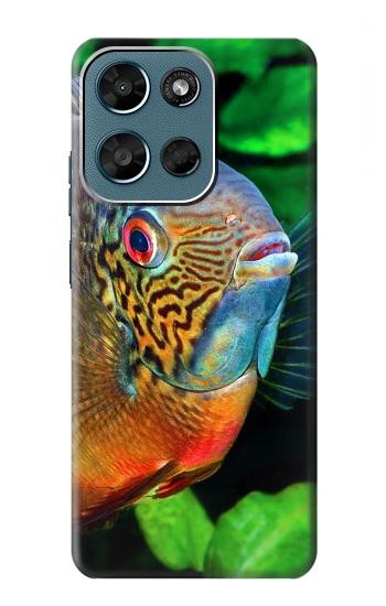 S1812 cichlidés poisson Etui Coque Housse pour Motorola Moto G (2026), G Play (2026)