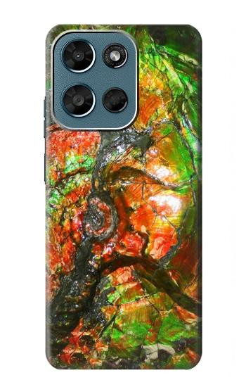 S2694 ammonite Fossile Etui Coque Housse pour Motorola Moto G (2026), G Play (2026)