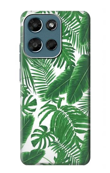 S3457 Papier Palm Monstera Etui Coque Housse pour Motorola Moto G (2026), G Play (2026)