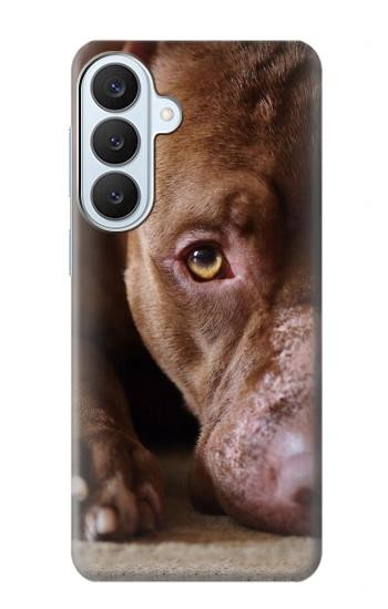 S0519 PitBull Visage Etui Coque Housse pour Samsung Galaxy S26 Plus