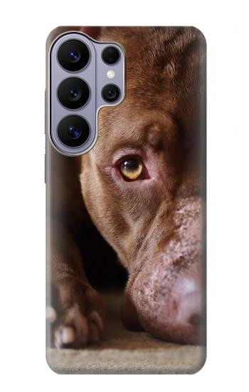 S0519 PitBull Visage Etui Coque Housse pour Samsung Galaxy S26 Ultra