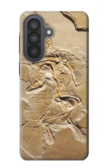 S0380 Fossile de dinosaure Etui Coque Housse pour Samsung Galaxy A57