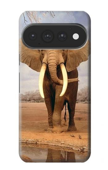 S0310 éléphant d'Afrique Etui Coque Housse pour Google Pixel 11, 11 Pro