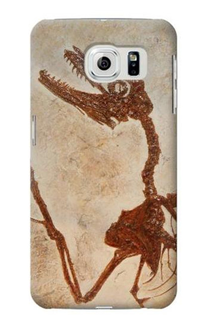 samsung galaxy a10 coque dinosaur