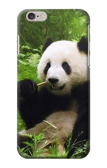 S1073 Panda Enjoy Eating Etui Coque Housse pour iPhone 6 6S