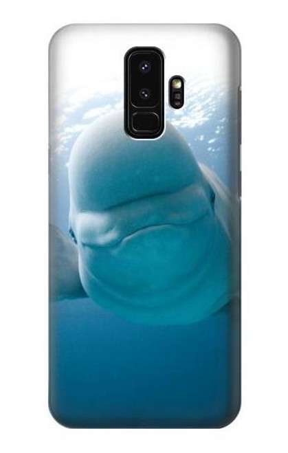 S1801 Beluga Whale Smile Whale Etui Coque Housse pour Samsung Galaxy S9 Plus