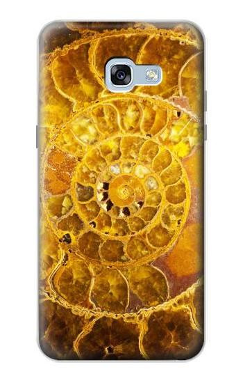 S1789 Ammonite Fossils Etui Coque Housse pour Samsung Galaxy A5 (2017)