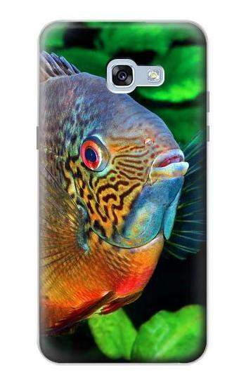 S1812 Cichlid Fish Etui Coque Housse pour Samsung Galaxy A5 (2017)