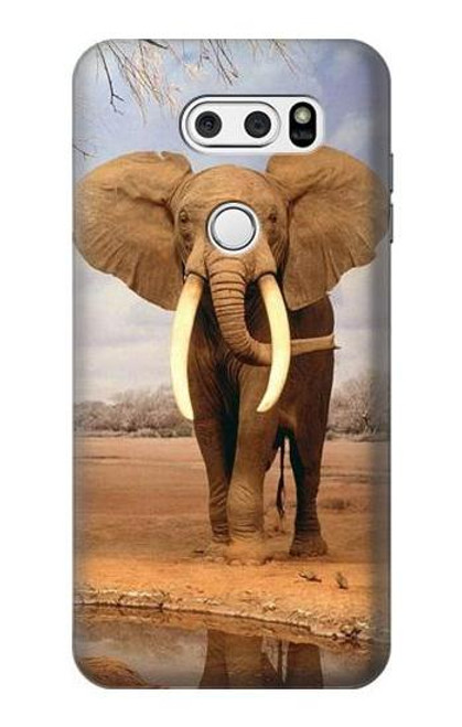 S0310 African Elephant Etui Coque Housse pour LG V30, LG V30 Plus, LG V30S ThinQ, LG V35, LG V35 ThinQ