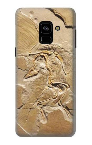 S0380 Dinosaur Fossil Etui Coque Housse pour Samsung Galaxy A8 (2018)