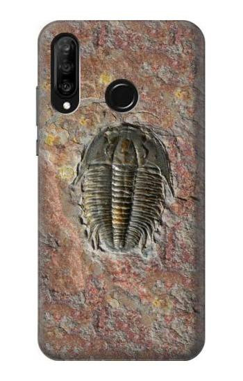 S1454 Trilobite Fossil Etui Coque Housse pour Huawei P30 lite