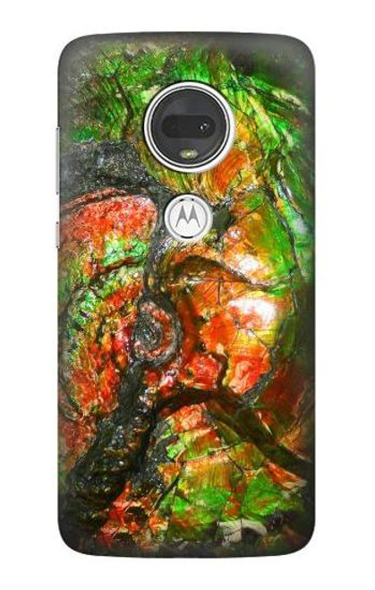 S2694 Ammonite Fossil Etui Coque Housse pour Motorola Moto G7, Moto G7 Plus