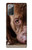 S0519 PitBull Visage Etui Coque Housse pour Samsung Galaxy Note 20