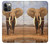 S0310 éléphant d'Afrique Etui Coque Housse pour iPhone 12, iPhone 12 Pro
