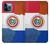 S3017 Paraguay Drapeau Etui Coque Housse pour iPhone 12 Pro Max