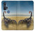 S0150 Scorpion du désert Etui Coque Housse pour Motorola Edge+