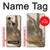 S3781 Albrecht Durer Young Hare Etui Coque Housse pour Google Pixel 3a