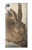 S3781 Albrecht Durer Young Hare Etui Coque Housse pour Sony Xperia XA1