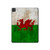 S2976 Pays de Galles Football Football Drapeau Etui Coque Housse pour iPad Pro 11 (2021,2020,2018, 3rd, 2nd, 1st)