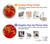 S2050 fleur de Cerisiers chinois imprimé graphique Etui Coque Housse pour Samsung Galaxy S21 Plus 5G, Galaxy S21+ 5G