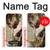 S0179 Michel-Ange Création d'Adam Etui Coque Housse pour iPhone 5 5S SE