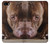 S0519 PitBull Face Etui Coque Housse pour iPhone 5 5S SE