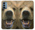 S0840 Grizzly Bear visage Etui Coque Housse pour OnePlus Nord N200 5G