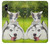 S3795 Peinture Husky Sibérien Ludique Chaton Grincheux Etui Coque Housse pour iPhone X, iPhone XS