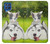 S3795 Peinture Husky Sibérien Ludique Chaton Grincheux Etui Coque Housse pour Samsung Galaxy M62