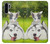 S3795 Peinture Husky Sibérien Ludique Chaton Grincheux Etui Coque Housse pour Huawei P30 Pro