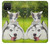 S3795 Peinture Husky Sibérien Ludique Chaton Grincheux Etui Coque Housse pour Google Pixel 4