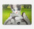 S3795 Peinture Husky Sibérien Ludique Chaton Grincheux Etui Coque Housse pour MacBook Pro Retina 13″ - A1425, A1502