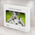 S3795 Peinture Husky Sibérien Ludique Chaton Grincheux Etui Coque Housse pour MacBook Pro Retina 13″ - A1425, A1502