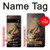 S1091 Rembrandt Christ dans la tempête Etui Coque Housse pour Google Pixel 6